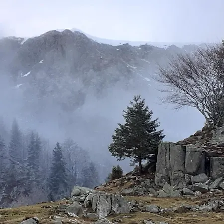 Munster Camping De La Fecht Exterior photo